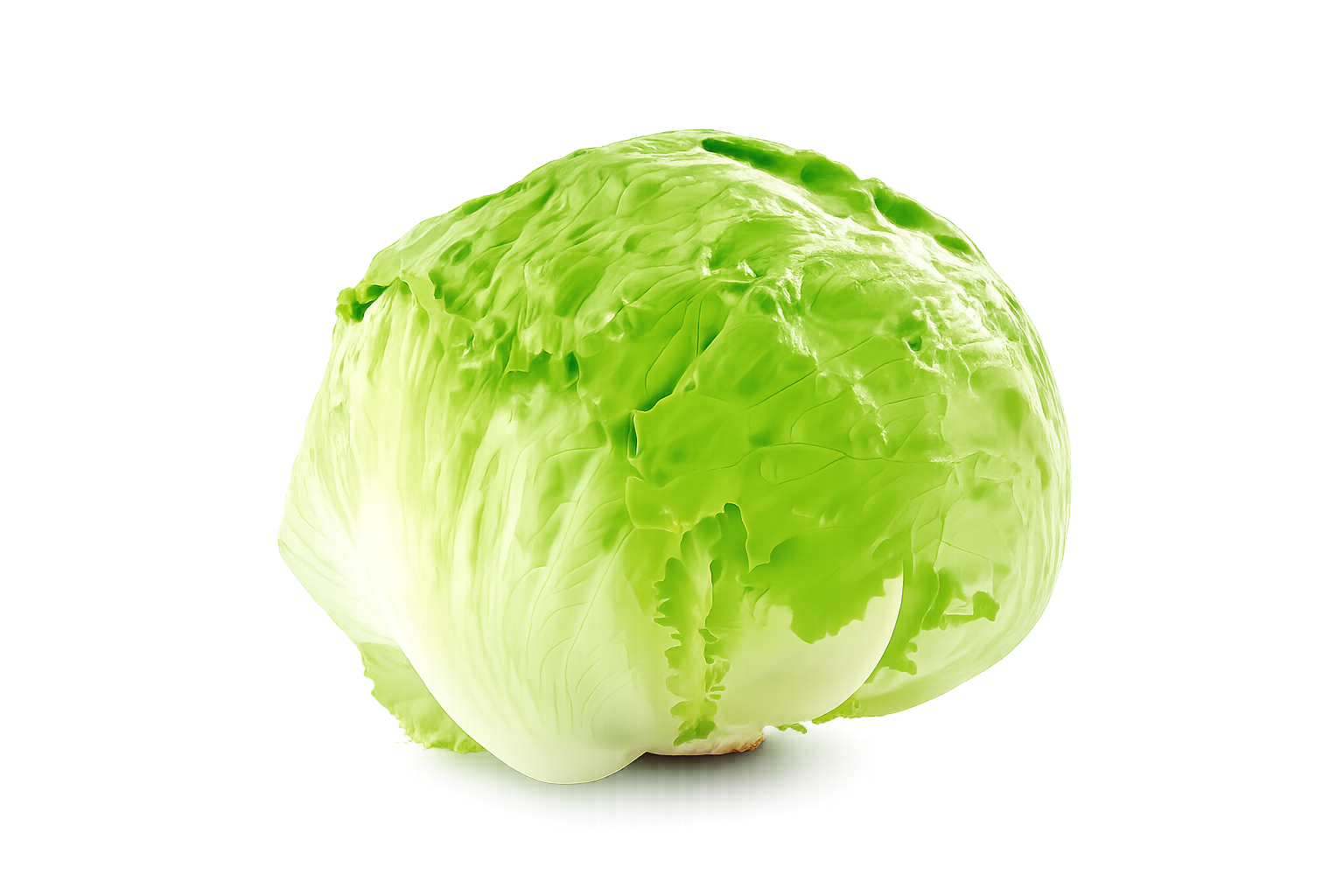 Lechuga Escarola (un)