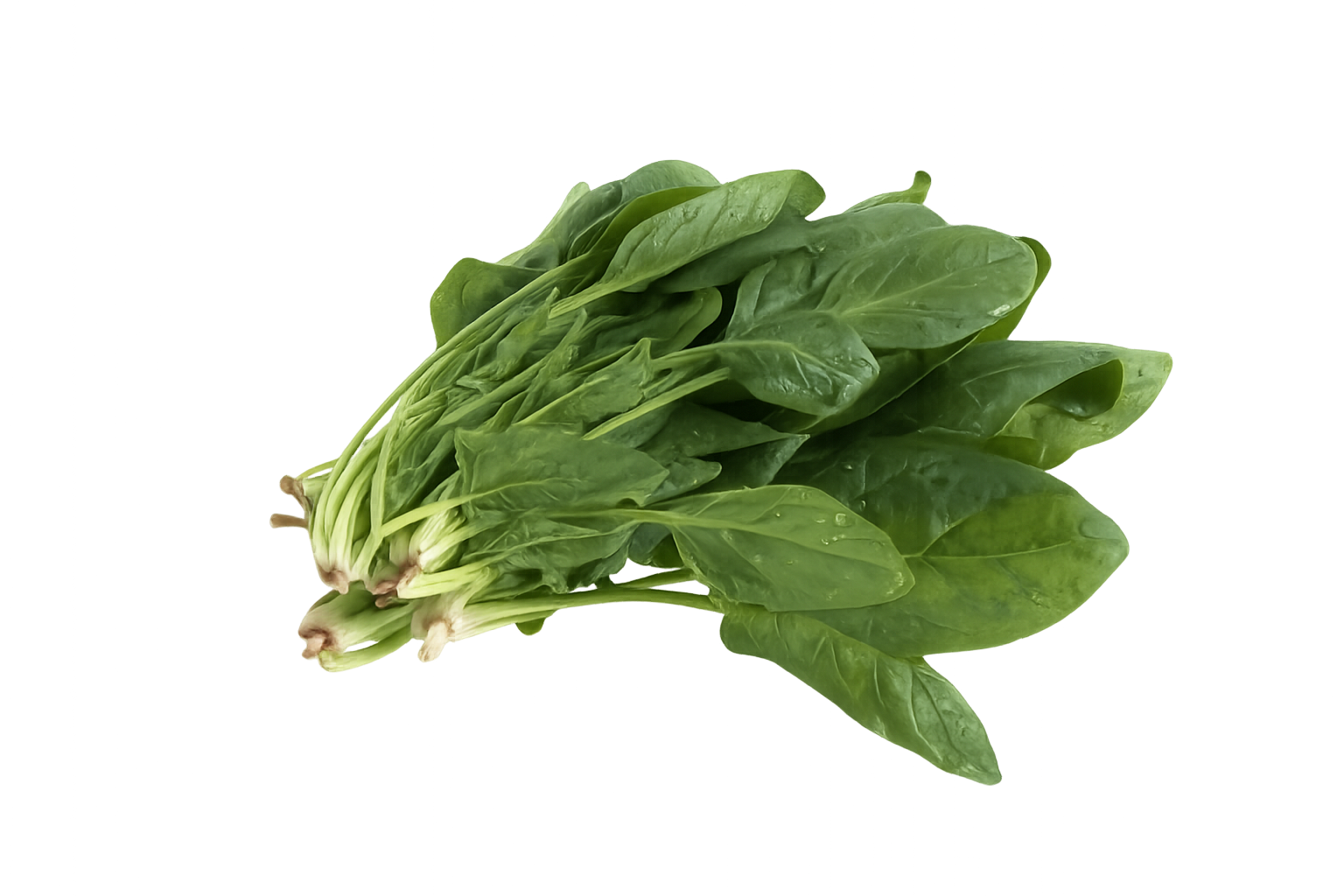 Espinaca 500 grs