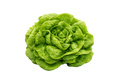 Lechuga Española (un)