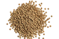 Lentejas
