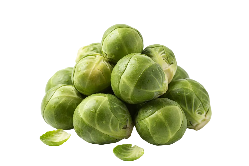 Coles de Bruselas frescas
