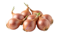 Chalota 250 grs