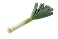 Puerro