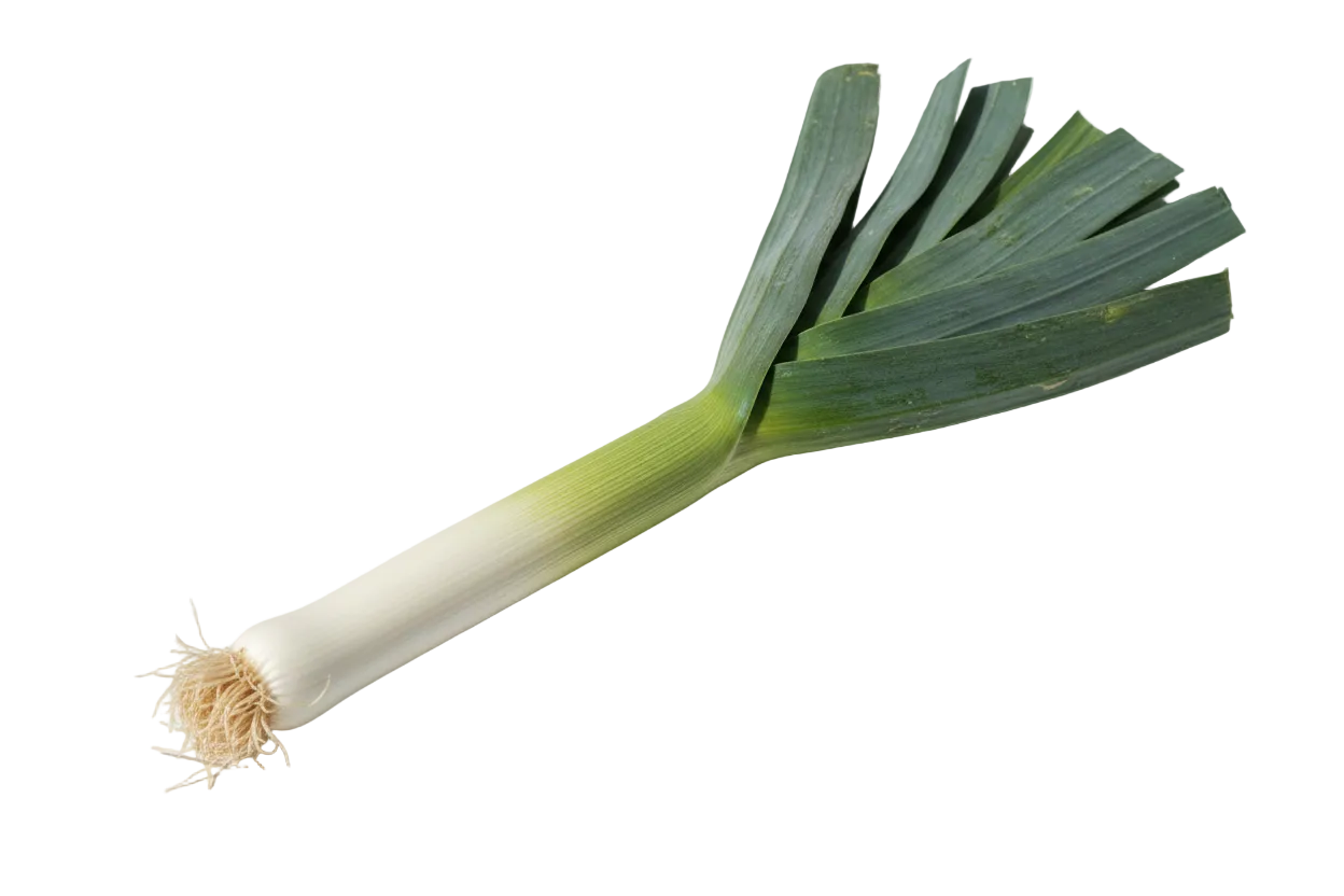 Puerro