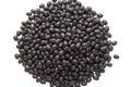 Porotos Negros