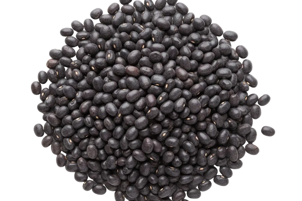Porotos Negros