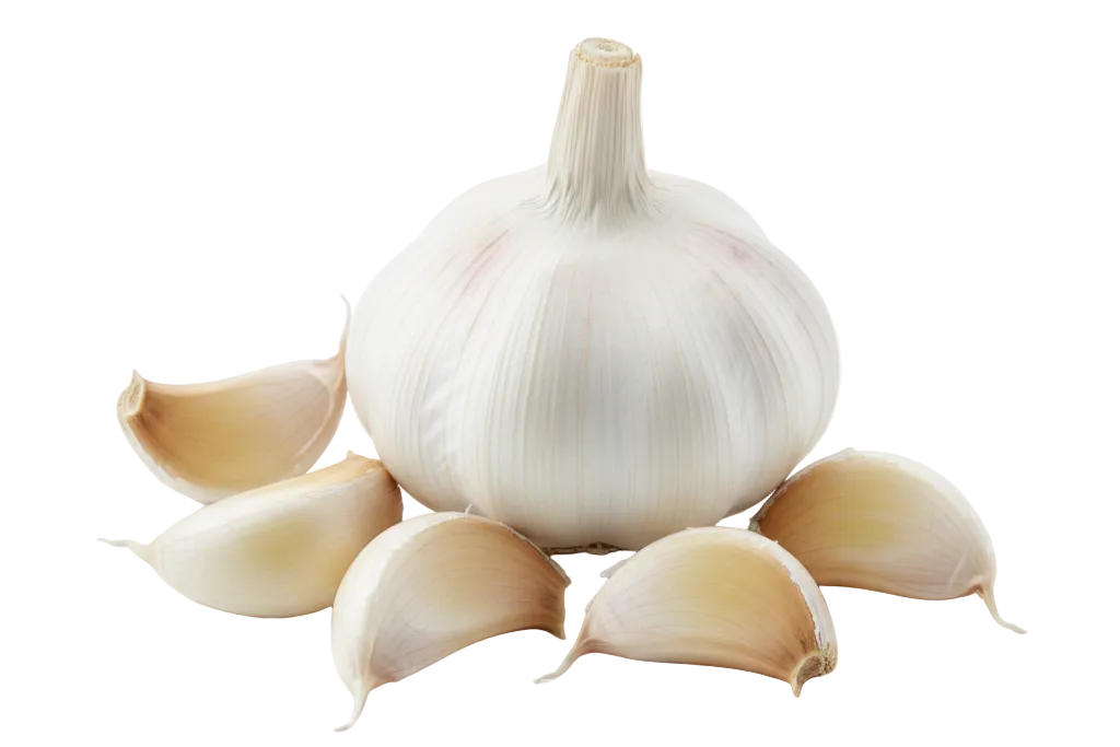 Ajo fresco