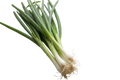 Cebollin
