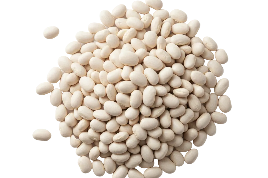 Porotos Blancos