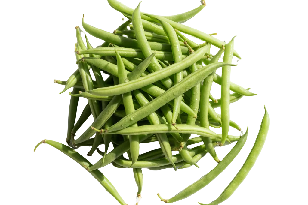 Porotos Verdes