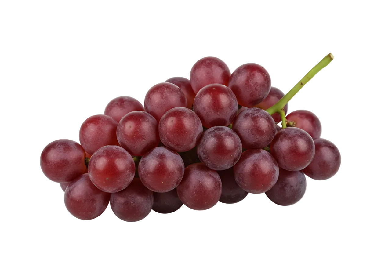 Uva Roja
